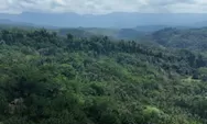 Kelompok Pegiat Anti Korupsi Endus Aroma Pelanggaran Hukum Pada Proses Lahan Kompensasi PT BSI, Satgas PKH Diminta Turun Tangan