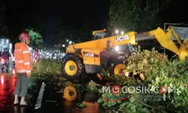 Angin Kencang di Jombang Bikin Pohon Tumbang dan Reklame Roboh, Lalu Lintas Sempat Lumpuh