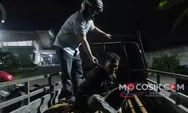 Nekat Angkut 25 Rel Kereta Pakai Pikap, Dua Pria Jombang Diciduk Polisi