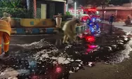 Cegah Kecelakaan, Damkar Jombang Sigap Tangani Tumpahan Oli di Bundaran Ringin Contong