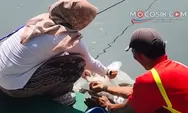 Hidupkan Tirta Wisata, Disporapar Jombang Tebar Ratusan Kilogram Ikan di Festival 1630