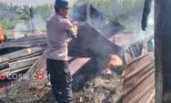 Bakar Sarang Hama Pakai Obor! Kandang Ternak di Jogoroto Jombang Ludes Terbakar, Puluhan Ayam dan Kambing Terpanggang