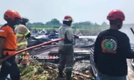 Kandang Ayam Milik Warga Peterongan Jombang Hangus Terbakar, Begini Kronologinya