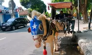 20 Tahun Menarik Delman, Herawan Berharap Transportasi Kuda di Jombang Tetap Dilestarikan