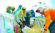 Cetak Rekor, Produksi Beras 2026 Indonesia Naik Saat Produksi Dunia Turun