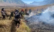 Polres Probolinggo Kerahkan 150 Personel Padamkan Kebakaran Hutan di Kawasan Bromo