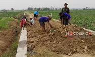 Demi Petani, Kades Kampungbaru Jombang Rela Rogoh Kocek Pribadi untuk Perbaiki Jalan Usaha Tani