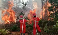 6 Provinsi di Kalimantan dan Sumatera Jadi Prioritas Penanganan Karhutla, Operasi Darat Jadi Ujung Tombak