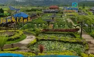 Cafe Sawah Pujon Kidul Malang! Wisata Kuliner di Tengah Sawah, Lengkap dengan Spot Foto Instagramable