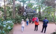 Penasaran Apa Saja yang Ada di Tempat Wisata Orchid Fores Lembang? Simak Penjelasannya
