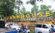 Penasaran Apa Saja yang Ada di Tempat Wisata Farmhouse Susu Lembang? Simak Penjelasannya