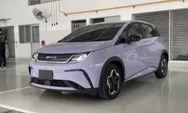 BYD Dolphin Resmi Masuk ke Indonesia, Bagaimana Spesifikasi dan Harganya?