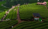 Banyak Tempat Indah dan Asri, Inilah Deretan Wisata di Pangalengan Bandung