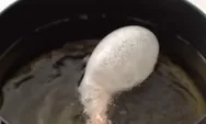 Resep Udang Balon Viral Tiktok, Gampang Hanya Menggunakan Takaran Sendok!