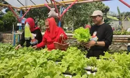 Petani Milenial Semarang Segera Diluncurkan di Ponpes Sunan Gunungjati Baalawy Gunungpati: Wujudkan Ketahanan Pangan di Masa Kini