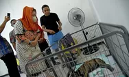 Komunitas Pecinta Hewan Apresiasi Pemkot Semarang Terkait Bantuan Penanganan Anjing untuk Dijagal