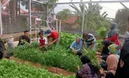 Mbak Ita Dorong Pemanfaatan Lahan Tidur untuk Urban Farming