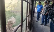 Yoyok Sukawi Kunjungi Semarang Zoo, Miliki Potensi Besar Perlu  Inovasi untuk Majukan Wisata Lokal