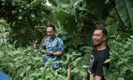 Yoyok Sukawi Puji Program Urban Farming Inisiasi Mbak Ita, Siap Melanjutkan!