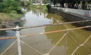 Berkat Kerja Keras Tim DLH dan Masyarakat dalam Kegiatan Padat Karya, Sungai Loji di Kota Pekalongan Perlahan-Lahan Bersih dari Eceng Gondok