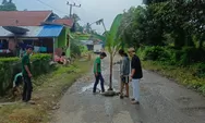 Waduh! Warga Tanam Pohon Karena Kecewa Pengerjaan Ruas Jalan Bontomanai Hingga Kindang Ditolak 