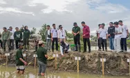 Peringati Hari Lingkungan Hidup, Bupati Andi Utta Tanam Mangrove