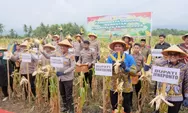 Bupati Bantaeng Dampingi Kapolda Sulsel Hadiri Panen Raya Jagung Serentak Kuartal I 2026
