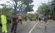 Pemkab Barru Bergerak Cepat Tangani Dampak Angin Kencang, 34 Rumah Warga Terdampak