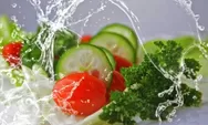 5 Makanan Sehat dan Cocok Banget Untuk Bantu Program Diet