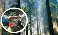 Viral! Menggali Tanah Sejumlah Warga Lokal Temukan Minyak di Tengah Hutan Indonesia