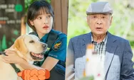 Tanpa Pesaing Drama Dog Knows Everything Alami Penurunan Rating