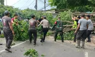 Hujan Deras Landa Sidoarjo, Pohon hingga Tiang Listrik Roboh 
