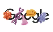Google Doodle Ikut Peringati Hari Perempuan Nasional, Hari Ini 8 Maret 2025