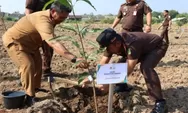 HUT Ke-80 Kejari Kabupaten Cirebon Tanam 100 Pohon Untuk Menjaga Lingkungan