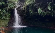 Keajaiban Curug Pangeran di Taman Nasional Gunung Halimun Salak, Surga Tersembunyi yang Menakjubkan