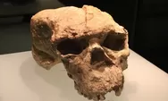 Tengkorak Tiongkok Berusia 1 Juta Tahun Guncang Teori Evolusi Manusia