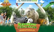 Liburan Akhir Tahun Seru di Taman Safari Indonesia!