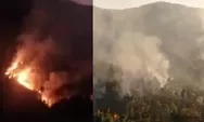 Bukit Mongkrang Hutan Gunung Lawu Dilanda Kebakaran, 3 Jalur Pendakian Ditutup