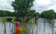 Rapel Ajak Lintas Organisasi Peduli Ekosistem Mangrove Tanam Ribuan Bakau