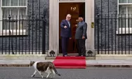 Presiden Prabowo Disambut Larry the Cat di Downing Street, Inggris