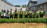 Lapas Batam Panen 150 Kg Kangkung, Dukung Program Ketahanan Pangan Nasional