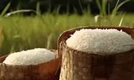 BULOG Pastikan Stok Beras dan Minyak Goreng RI Aman hingga Akhir 2026
