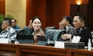 BP Batam Hadiri Sidang Aduan Kanal Debottlenecking Satuan Tugas P2SP, Wujud Komitmen Benahi Permasalahan Investasi
