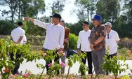 Kepala BP Batam Tinjau Proyek Pembangunan Infrastruktur Batam di Hari Pertama Kerja