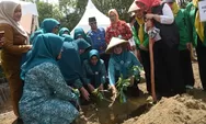 Perkuat Ketahanan Pangan, TP PKK Kepri Serahkan Bantuan Bibit Cabai untuk Masyarakat Kepri Melalui DKP2KH Provinsi Kepri