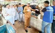 Berlabel SL, DPPP Pastikan Ribuan Hewan Kurban Dipastikan Sehat dan Aman di Konsumsi Masyarakat