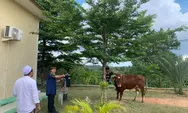 Kapolda Kepri Salurkan Bantuan Sapi Kurban di Ponpes Mambaus Sholihin Bintan