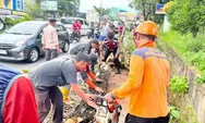 Nimpa Pengendara, BPBD Tanjungpinang Evakuasi Pohon Tumbang di Jalan KM 10