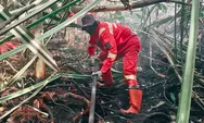 Karhutla di Indragiri Hulu Belum Padam, Tim Gabungan Berjibaku Hingga Hari Ke-11