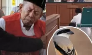 Tangkap Burung Cendet di Baluran, Kakek 75 Tahun Divonis Penjara